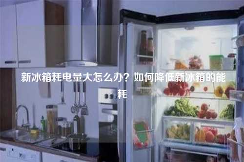  新冰箱耗电量大怎么办？如何降低新冰箱的能耗