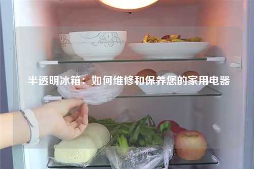  半透明冰箱：如何维修和保养您的家用电器