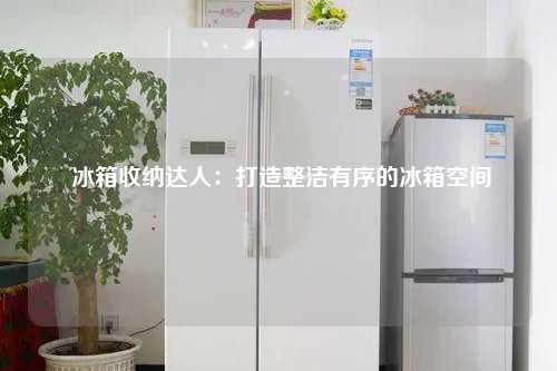  冰箱收纳达人：打造整洁有序的冰箱空间