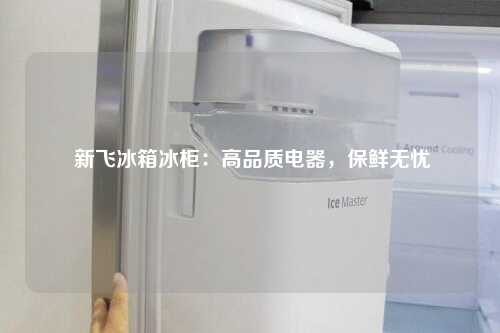  新飞冰箱冰柜：高品质电器，保鲜无忧