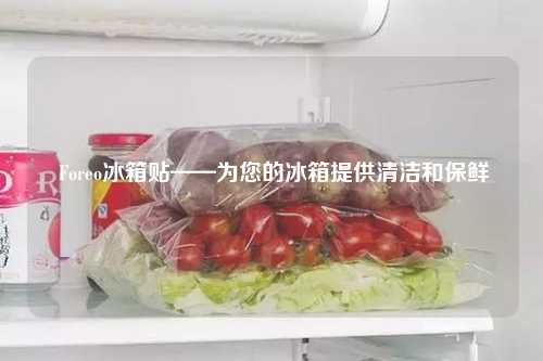  Foreo冰箱贴——为您的冰箱提供清洁和保鲜