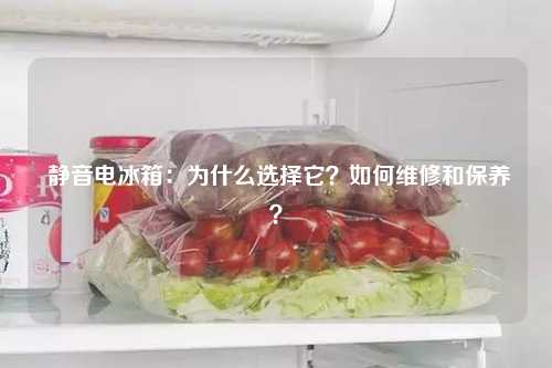  静音电冰箱：为什么选择它？如何维修和保养？