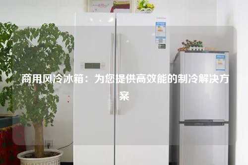  商用风冷冰箱：为您提供高效能的制冷解决方案