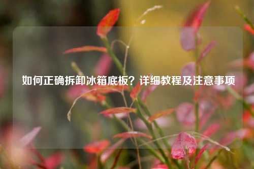  如何正确拆卸冰箱底板？详细教程及注意事项